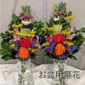 noendflower-se02